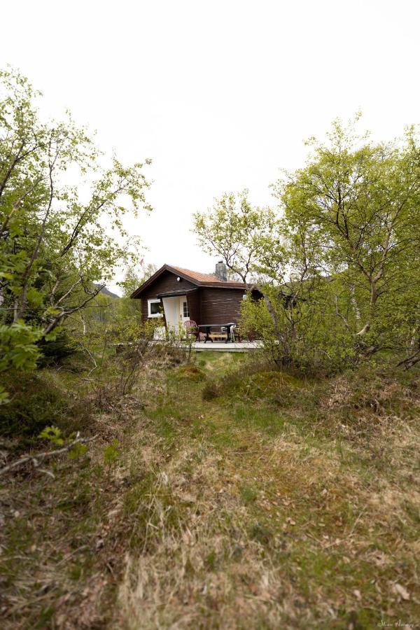 Haugteig Villa Lyngværet Екстериор снимка