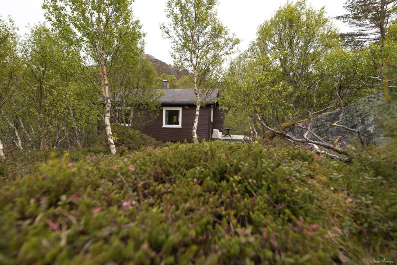 Haugteig Villa Lyngværet Екстериор снимка